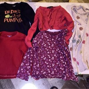 65-Lot of Five Girls Long Sleeve Shirts Size 4T various styles